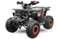 Preview: NITRO MOTORS 125cc midi Kinder Quad Rugby RS8-3G Platin